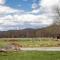 Smoky Mtn Retreat Pets Pickleball HotTub Creekside - سيفيرفيل