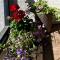 Sea and city view apartment with sauna and balcony - 派尔努