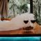 Chalé Suiço com Hidromassagem e café da Manhã - Praia Grande