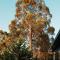 Kelp Cabin intimate, calm and restful