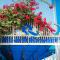 Q Beach Resort