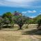 Villa Siflora by Interhome
