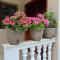 Kasmi Home 2