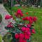 Garden Guest House Garden Guest House