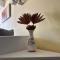 Aurelio Centar Apartment with Balcony and Free parking - 萨拉热窝