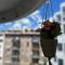 Aurelio Centar Apartment with Balcony and Free parking