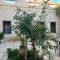 Maison de Vacances "Dar Khalifa"