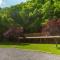 Seneca Pines Lodge - Seneca Rocks