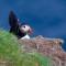 Glengolly Getaways