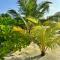 Oi Beach