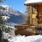 La Rissole - Chalet familial - 沙泰勒