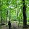 Pine Brae Eco-Resort