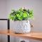 4 Dunluce Park - Portrush by the Sea - 波特拉什