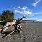 Stunning House with Views of Puget Sound! Ideal for Family Reunions - 埃德蒙兹