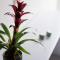 Ilios Properties - next to Gouvia Beach - Gouvia