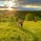 Zerko Holiday Home - Vineyard Chalet With Sauna and Jacuzzi FREE