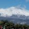 Gli Aranci Dell’Etna