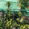 Gîte confortable avec vue imprenable à Saint-Paul, 2 ch, Terrasse et BBQ - FR-1-786-2 - 圣保罗