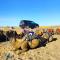 Merzouga wild Camp - 梅尔祖卡