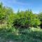 Guest House Vodica