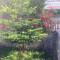 Paja Guesthouse - Camping