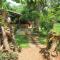 Jaana Guest - Sigiriya