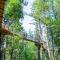 Natura Treescape Resort - 威斯康星戴尔