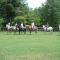 Arrowmont Stables & Cabins - Cullowhee