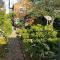Stunning, newly renovated, Edwardian townhouse