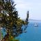 VILLA PHILIPPA - luxurious five-room villa - idyllic location - first row to the sea - spectacular view of the sea bay - unforgettable sunsets - 15 minutes from Supetar ferry port - free parking - private pool - سوتيفان