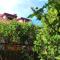 Fig Tree house - Lovas