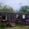 Ferny Roost Cabin.