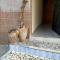 Auberge Andel Diabou SARR