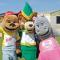 Robin Hood Rhyl