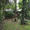 Arusha Holiday Safari