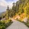 Aditya Homestay Dalhousie