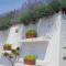 Apartments Milok