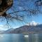 Casa Gio - Lake Como - 多马索