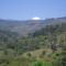 Finca Cafe Bernal
