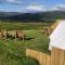 Tomnauld Farm - 皮特洛赫里