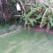 Tertia's Logcabin - Port Alfred
