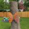Orange You Glad Firepit Large Backyard