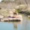 Lazo House - Riverfront with Overlooking Llano River - Llano