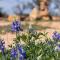 Lazo House - Riverfront with Overlooking Llano River - Llano