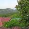 Green Silence - Vuk