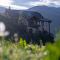 Alpin Zeneli Chalet