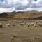 Fully furnished 1bedroom apt in the Peruvian Andes - Sangarará