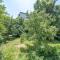 Top Location, Brand New 3 BDRM Apt & Free parking - Sofia
