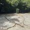 1266 Monroe Drive 1