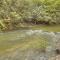 Hothouse Hideaway - Hothouse Creek - Toccoa River - Mineral Bluff